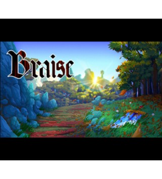 Braise Steam Key GLOBAL